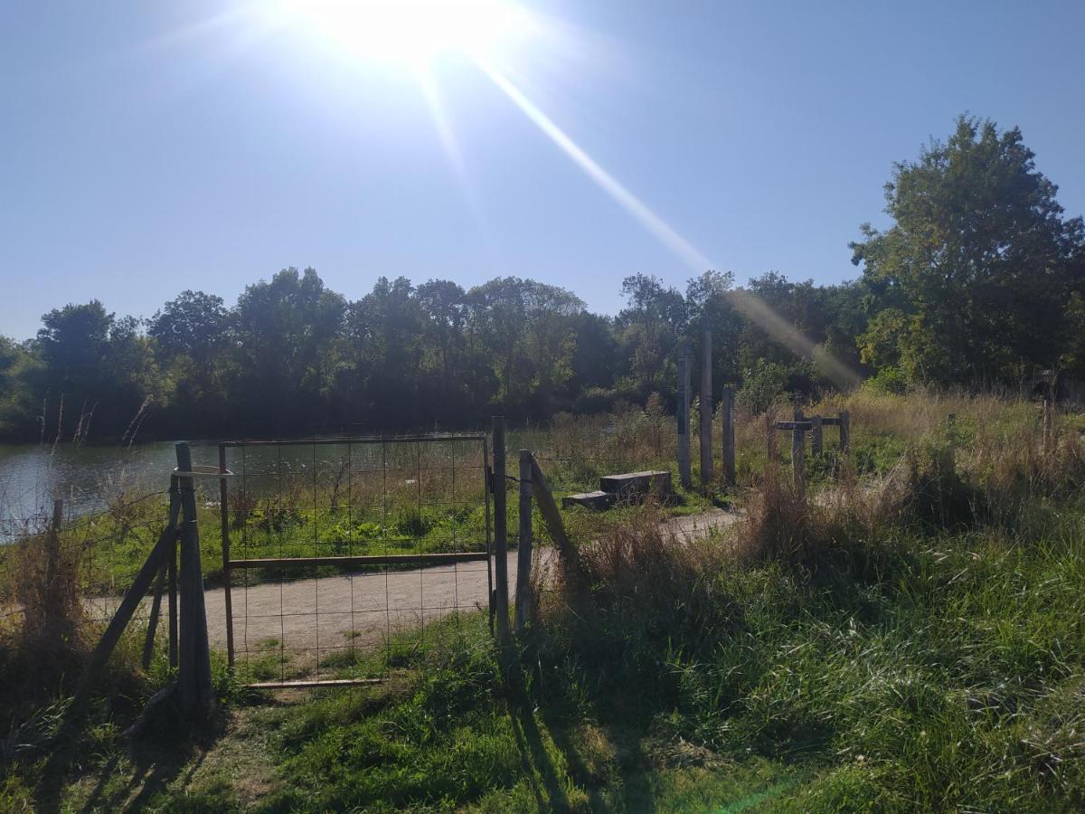 Montreuil-sur-Maine Gite La Pironniere - Piscine, Nature, Au Bord De La Riviere מראה חיצוני תמונה